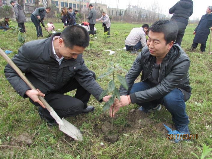 尊龙凯时人生就是搏·app(中国)平台官网